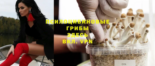 марки lsd Новозыбков
