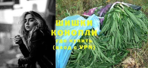 марки lsd Новозыбков