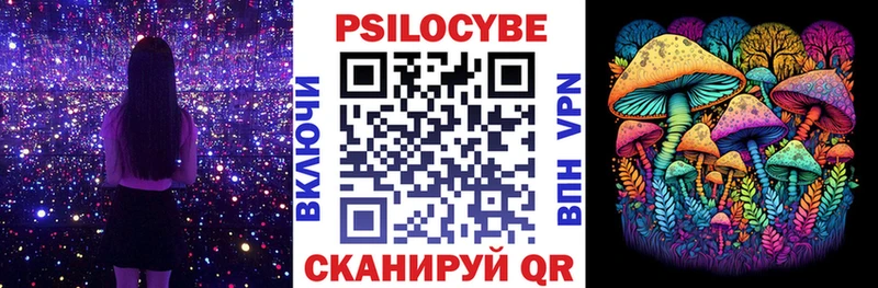Купить закладки  Королёв  Галлюциногенные грибы Cubensis 